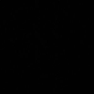 Meet your Posher, Ivan